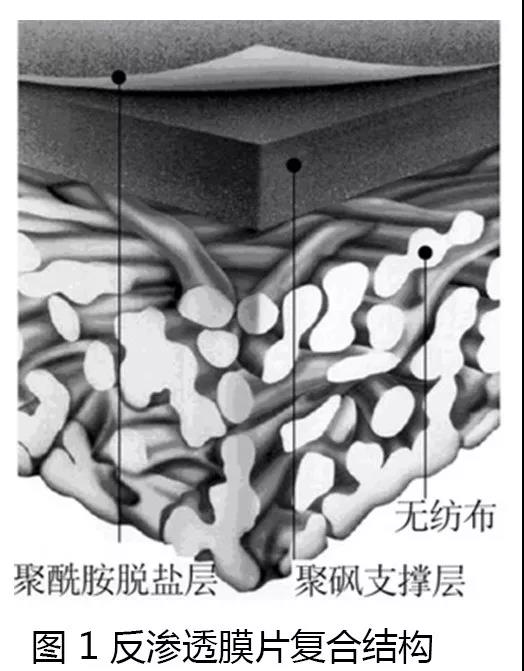 微信图片_20190821105002.jpg