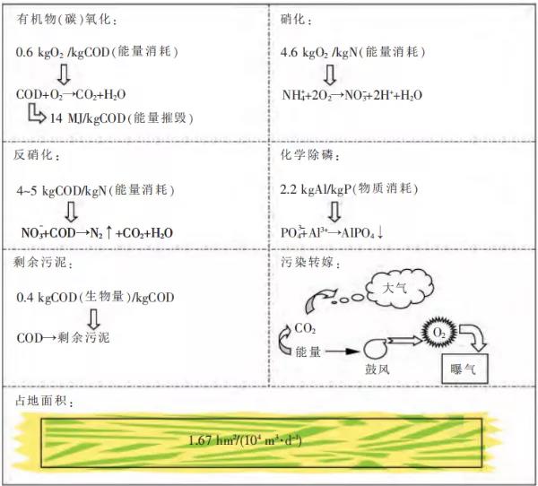  污水处理的未来：回归生态循环